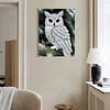 (30x40cm)DIY Pearl Painting Framed Owl  Handmade Pearl Material Art Kit Living Room Decor