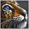 Leopard - 9CT Full Beaded Cross Stitch Kit(42x42cm)