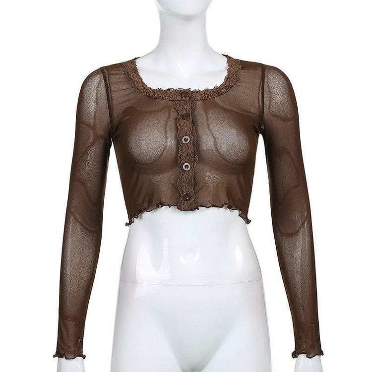 Brown Vintage Mesh Lace V Neck Long Sleeve T-shirts SP16206