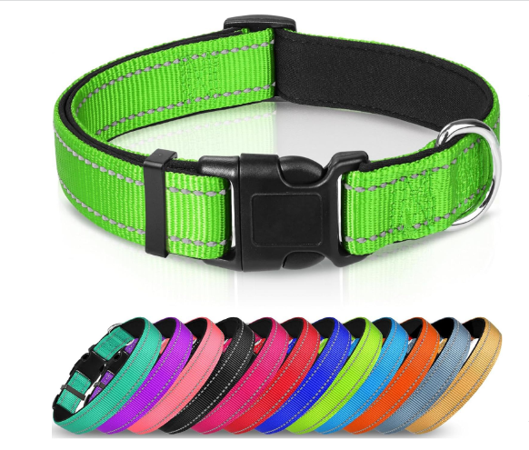Adjustable Reflective Nylon Webbing Dog Collar