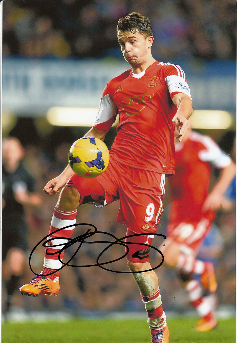 Southampton Hand Signed Jay Rodriguez 12x8 Photo Poster painting 13/14 1.