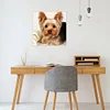 Dog-Full Square Diamond Painting