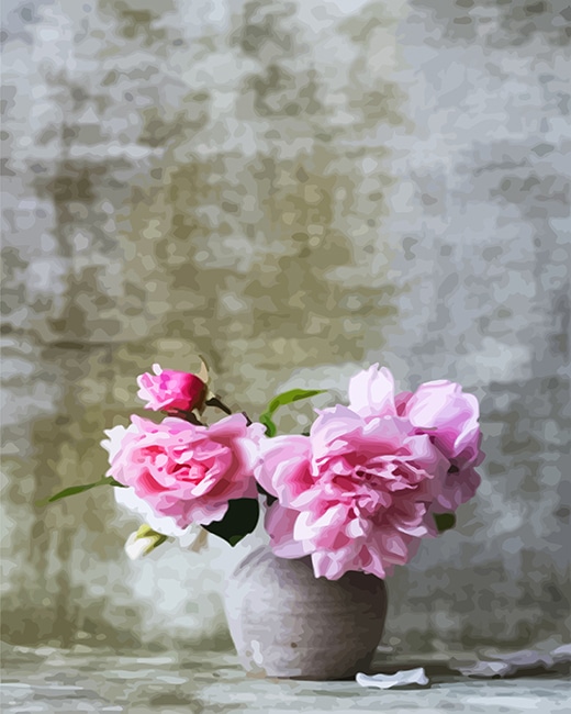 

Baby Pink Flowers – Paint By Numbers - 40*50CM, 501 Original