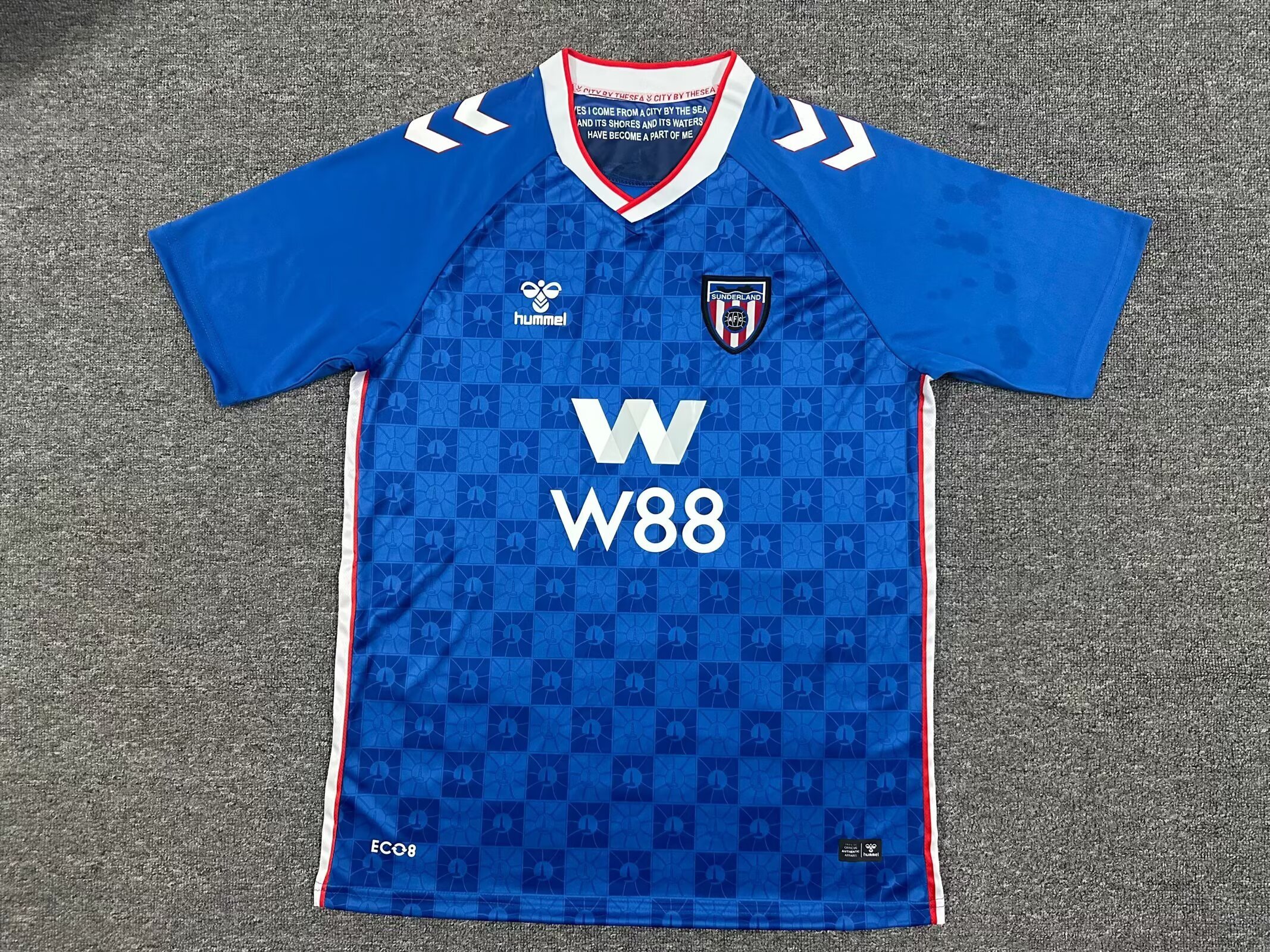 2025/2026 Sunderland Away Football Shirt