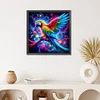 Diamond Painting -DIY Round Drill Parrot(50x50cm)