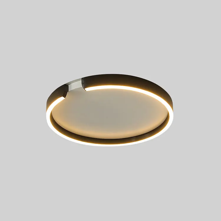 Edge Modern Ring Metal Flush Mount Ceiling Light