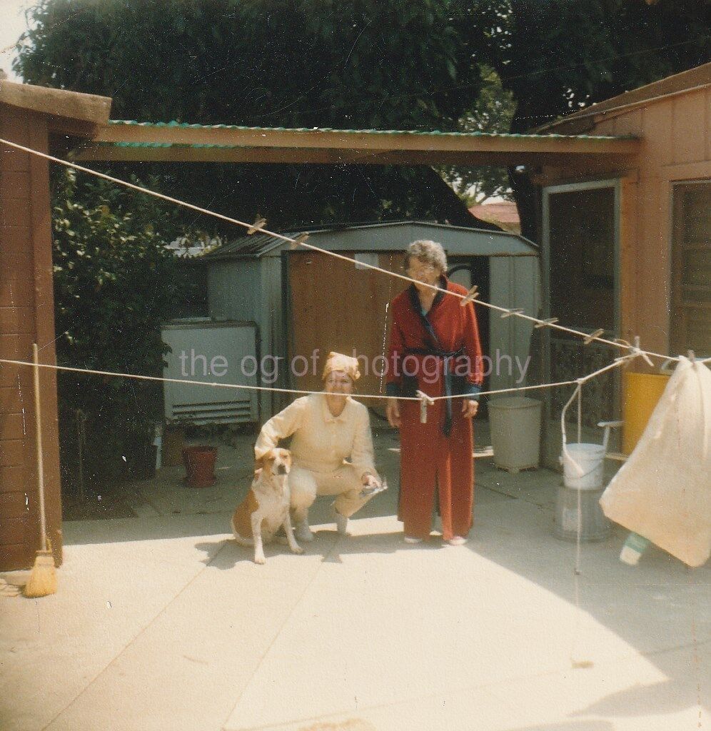 CLOTHESLINE INTERSECT Dog FOUND Photo Poster paintingGRAPH ColorOriginal 85 12