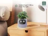 LVY Expression Control Intelligent Small Flower Pot Desktop Planter APP Monitoring Sensor Expression Demand Interactive LCD Screen