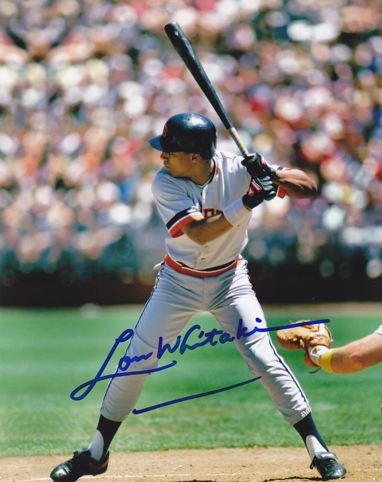 LOU WHITAKER DETROIT TIGERS ACTION SIGNED 8x10