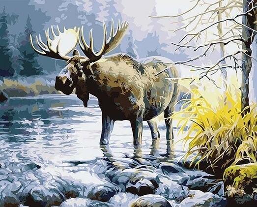 

Moose in River – Paint By Numbers - 40*50CM, 501 Original