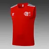 2025/2026 Flamengo Pre-Match Training Red Vest+Shorts Football1:1 Thai Quality