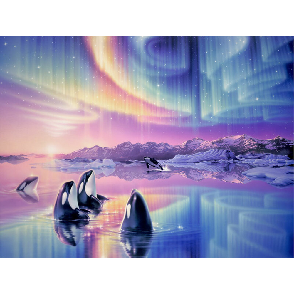 

Aurora Pinguin - Round Drill Diamond Painting - 40*30CM, 501 Original
