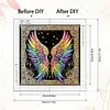 Ailes color&eacute;es-peinture diamant en forme sp&eacute;ciale-30 * 30cm