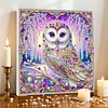 Framed Diamond Painting - Special Shaped - Owl (25x25cm)