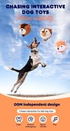 Interactive Dog Toys Plush Dog Toy Squeaky Crazy Bouncer Ball for Small and Medium Puppy to Self Play