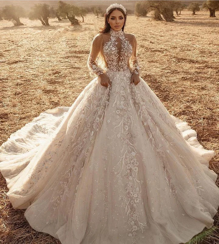 Train A-Line High-neck Long Sleeve Wedding Dress With Appliques Lace Tulle