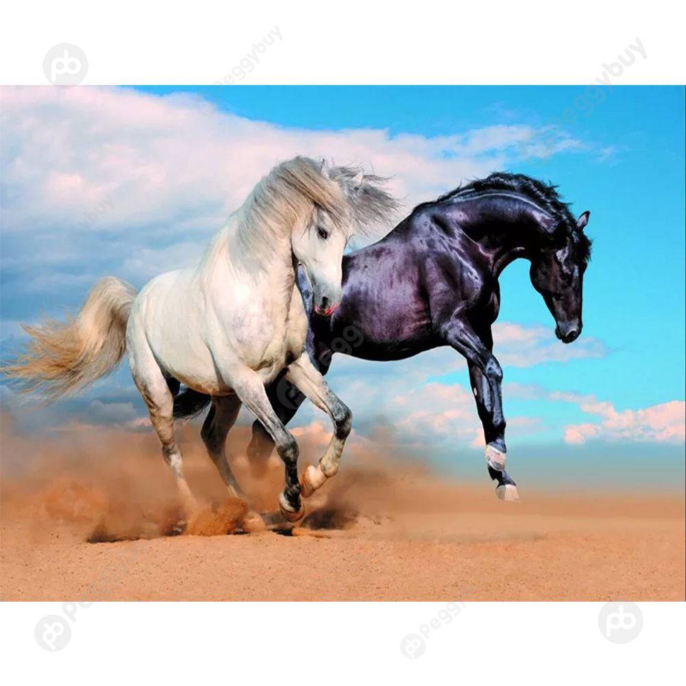

40*50CM Paint By Numbers-Fine Horse, 501 Original