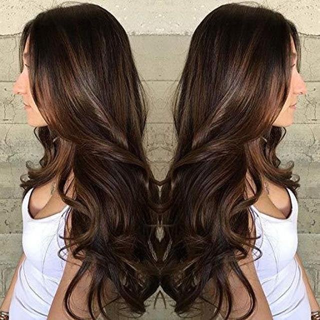 Long Natural Wave Brown Wigs Heat Resistant Wigs for Women
