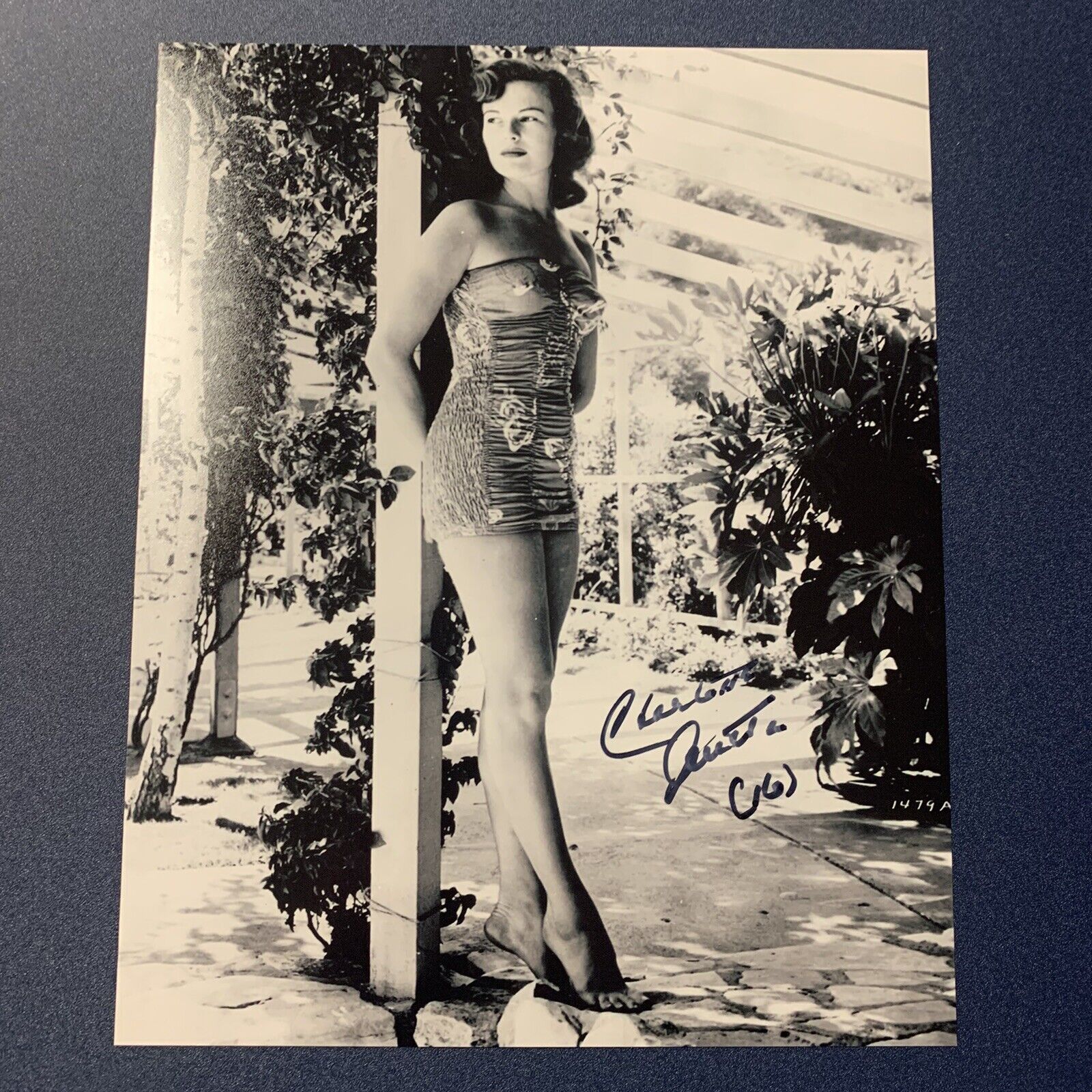 CHARLOTTE AUSTIN SIGNED 8x10 Photo Poster painting ACTRESS BRIDE AND THE BEAST AUTOGRAPHED COA