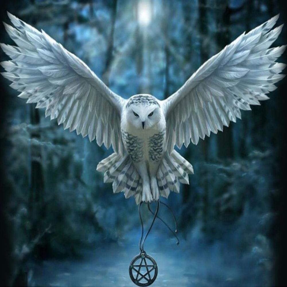 Diamond Painting - Full Round Drill - Flying Owl(30*30cm)