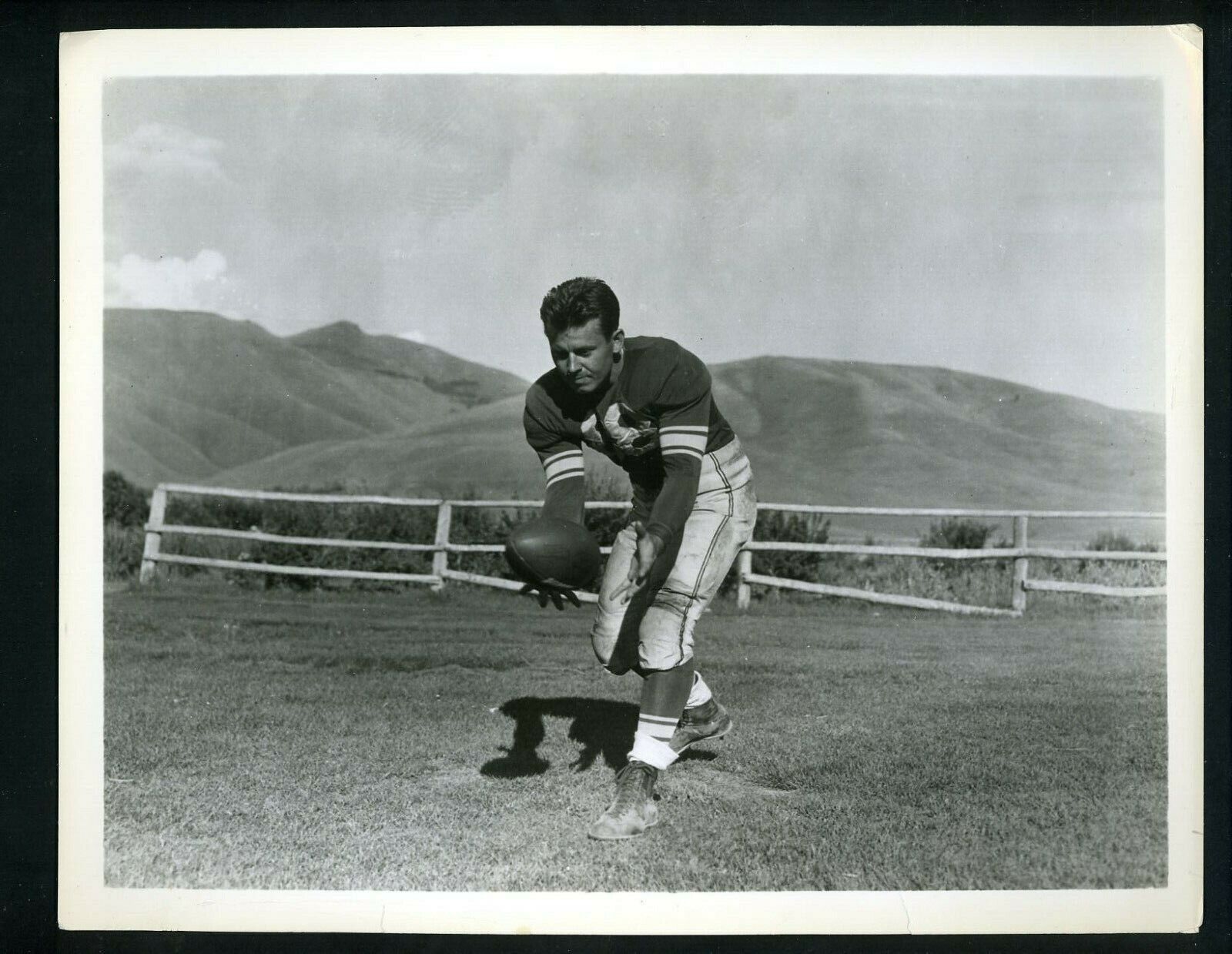 AAFC Baltimore Colts Lew Mayne ? circa 1948 Press Original Photo Poster painting