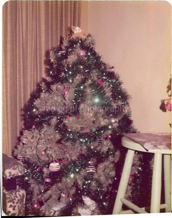 Christmas Tree FOUND Photo Poster painting ColorOriginal Snapshot VINTAGE 02 27 H