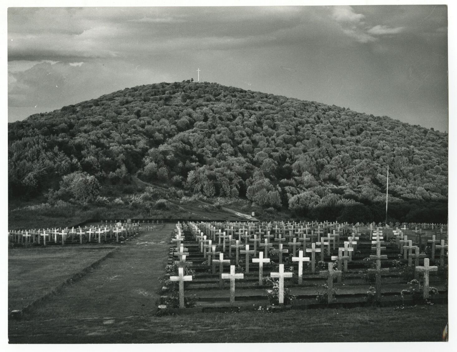 World War I - Vintage Publication Photo Poster paintinggraph - Hartmannswillerkopf Cemetery