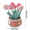 DIY Flower Potted Crochet Kit with Video Tutorial Cute Plants Hand-Knitted Tool