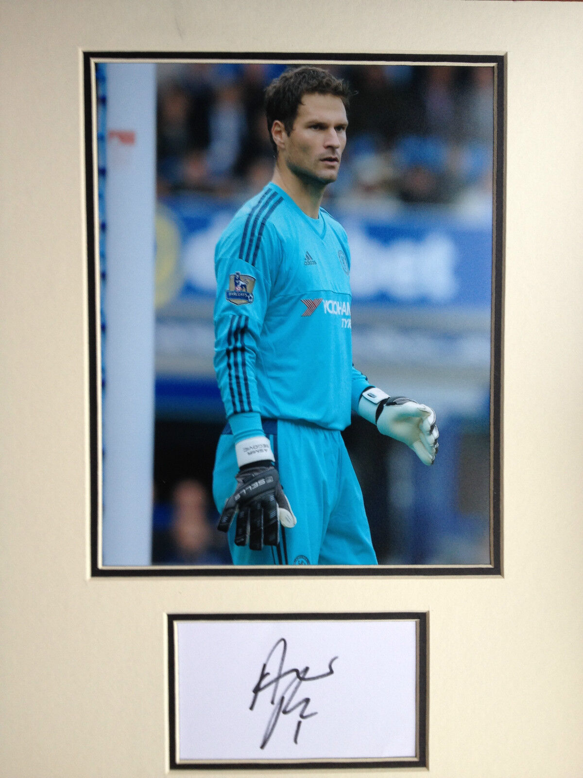 ASMIR BEGOVIC - CHELSEA FOOTBALLER - EXCELLENT SIGNED COLOUR Photo Poster painting DISPLAY