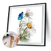 Butterfly Flower-Paint by Numbers Acrylic Painting 40*40CM