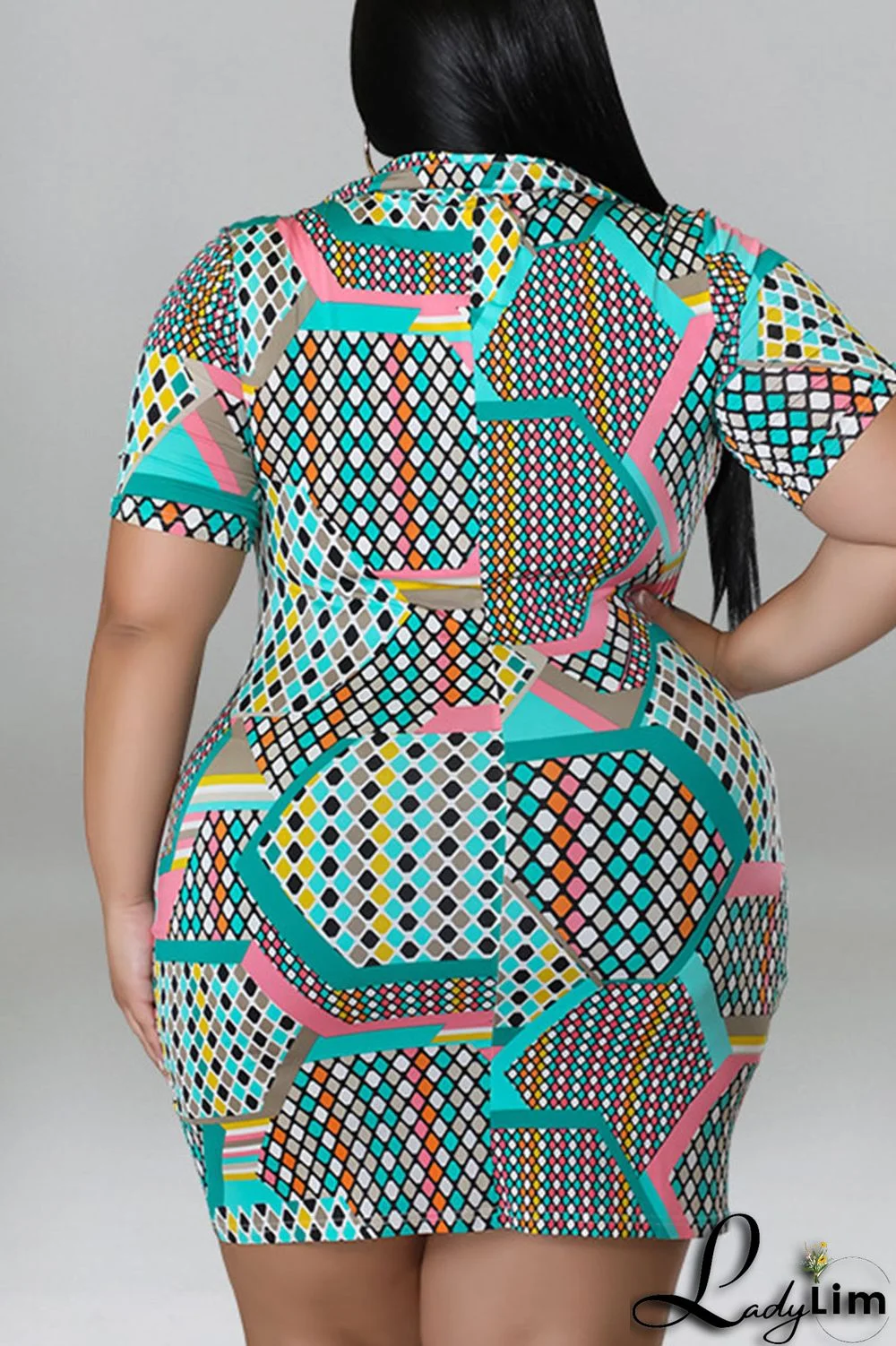 Blue Casual Print Patchwork Buckle Turndown Collar Shirt Dress Plus Size Dresses