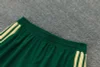 Kids Kit Italy 26-27 Short-sleeve Tracksuit Green Chandal  