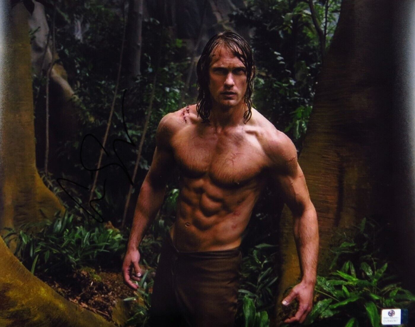 Alexander Skarsgard Signed Autographed 11X14 Photo Poster painting The Legend of Tarzan GV849367