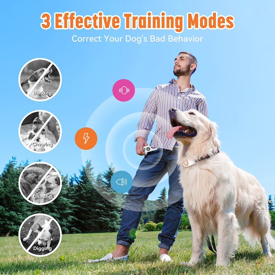 MAXLAPTER 3 Modes Dog Training Collar，IPX7 Waterproof White Rechargeable Shock Collar for Two Dogs，2624ft Long Range Remote Control