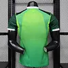 Joyfball 2026 Player Version Nigeria Home Football Jersey（The player version jersey is a bit tight, please pay attention to the size selection）