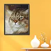 Angry Cat-14CT Stamped Cross Stitch 25*30cm/9.84*11.81in tapestrymarket
