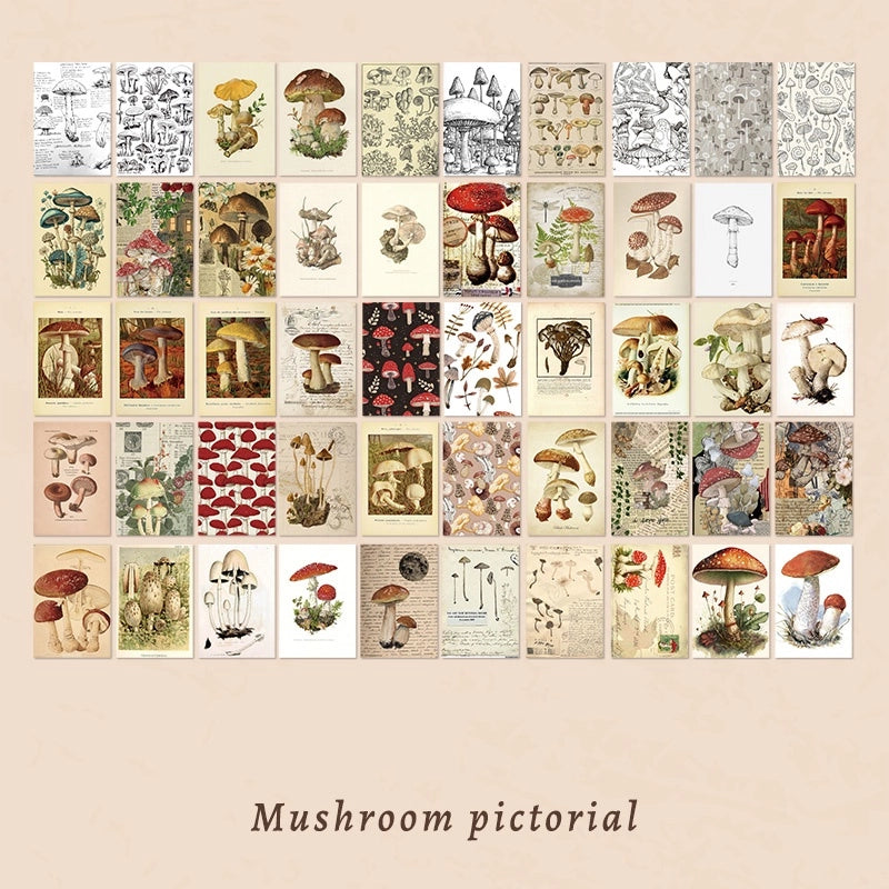 100 Pieces Per Book Planet Plant Butterfly Class Learning School Paper Classical Retro Card