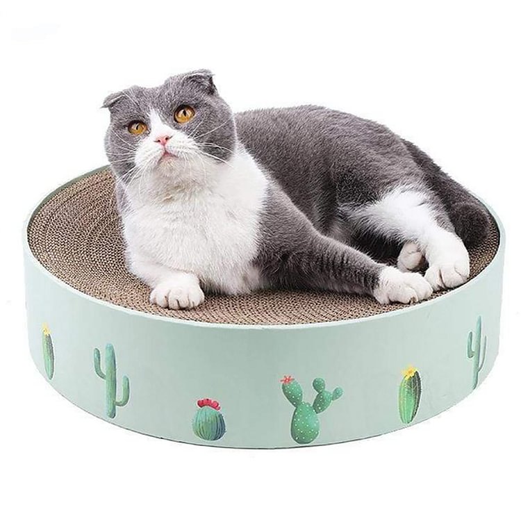 Cat Scratcher Bed - Keep Cat Claw Healthy