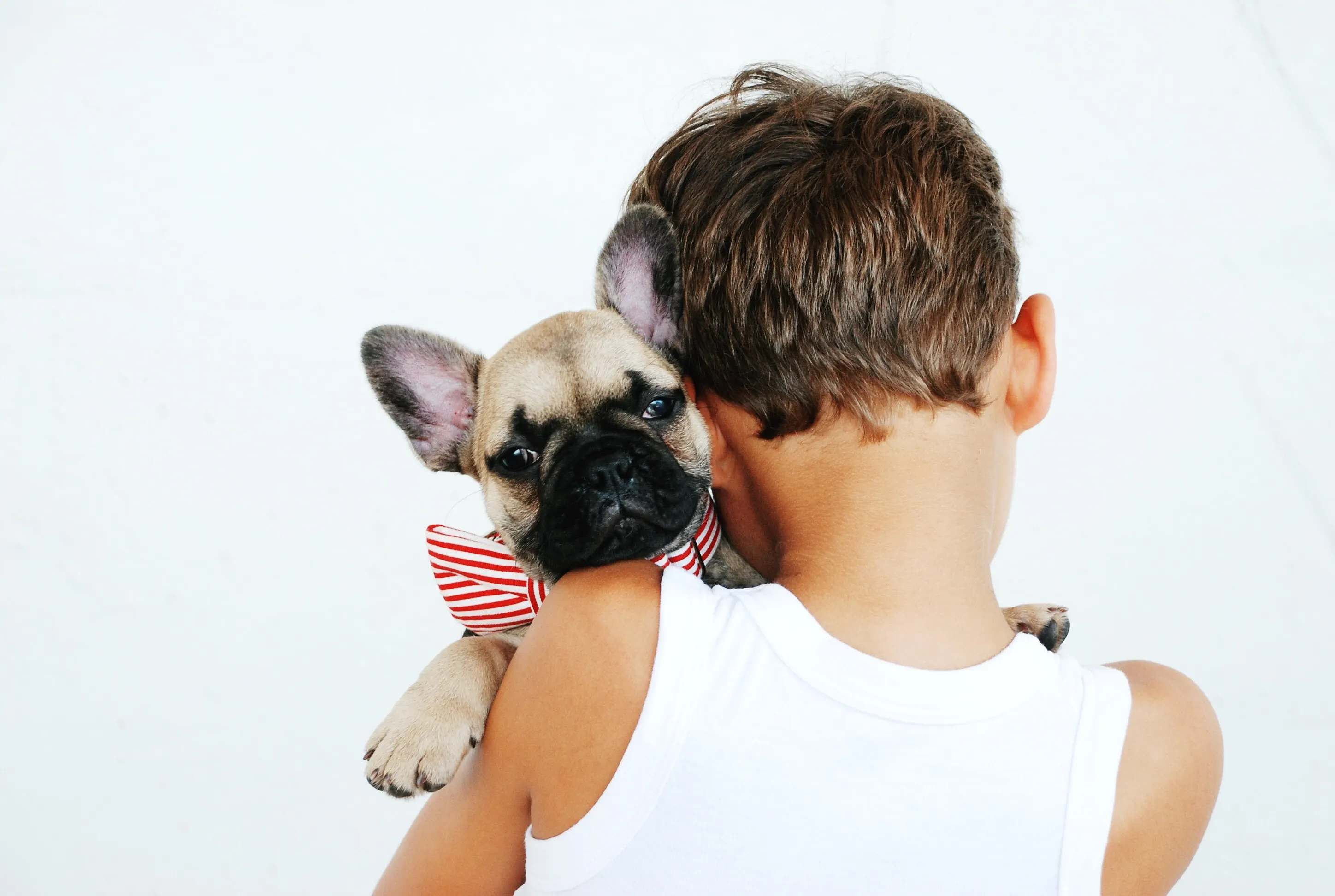 Pet Supplies