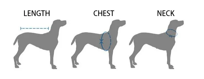 what is a deep chested dog