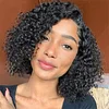 Glueless Wig Best Design African American Curly Wig