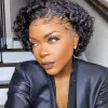 Glueless Wig Best Design African American Short Curly Wig