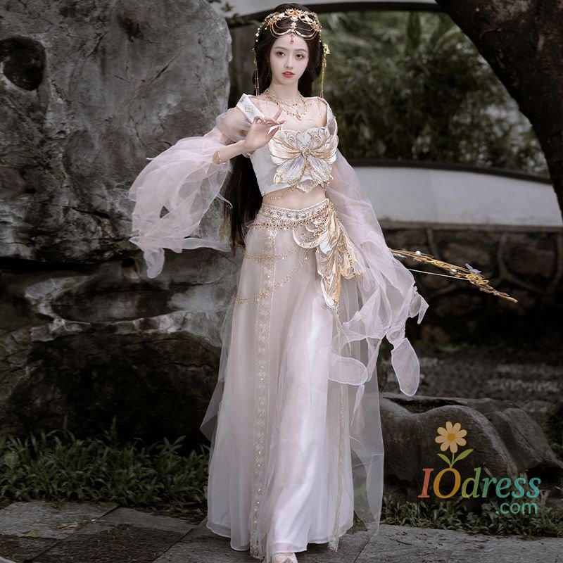 IO Dress Chinese Hanfu dress embroidered exotic Butterfly dance costume ancient costume Western region cosplay costume