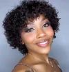Lovely Glueless Short Afro Kinky Curly Wigs for Black Women