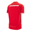25/26 Wales Rugby Home Shirt S-5XL 