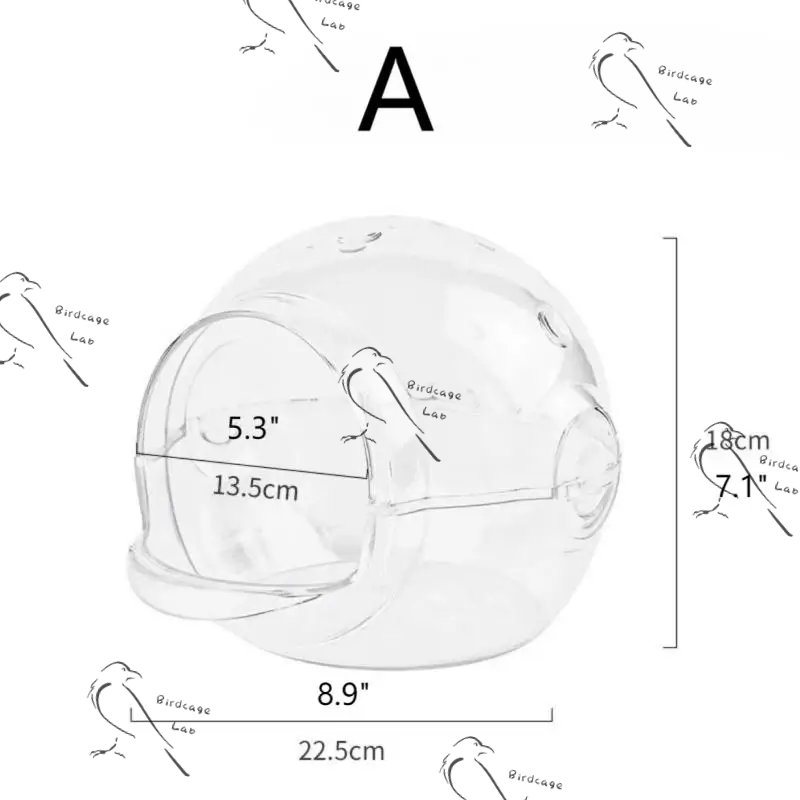 Small Parrot Transparent Panoramic Bird Nest  Birdcagelab