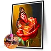Diamond Painting - Full Round - butterflies and roses (40*50CM)  James Yang