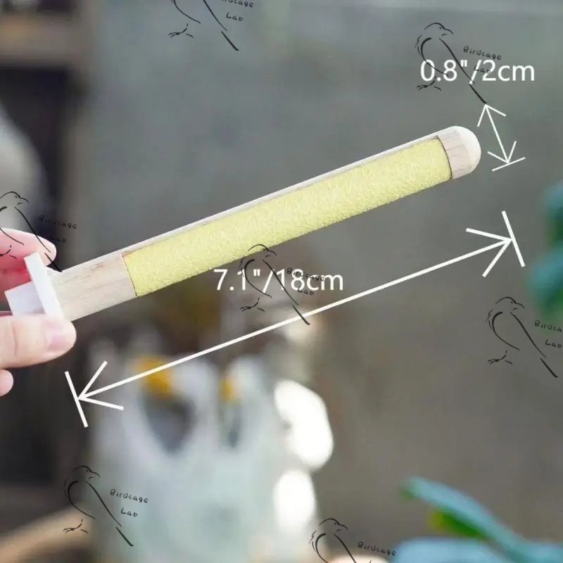 Parrot Window Tile Perch  Birdcagelab