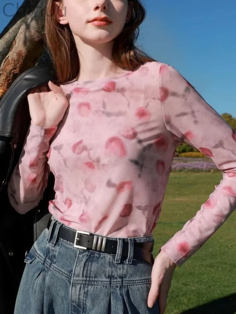 Mesh Printed T-shirt Long Sleeve Top