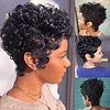 Best Design Afro Black Short Curly Hair Wig
